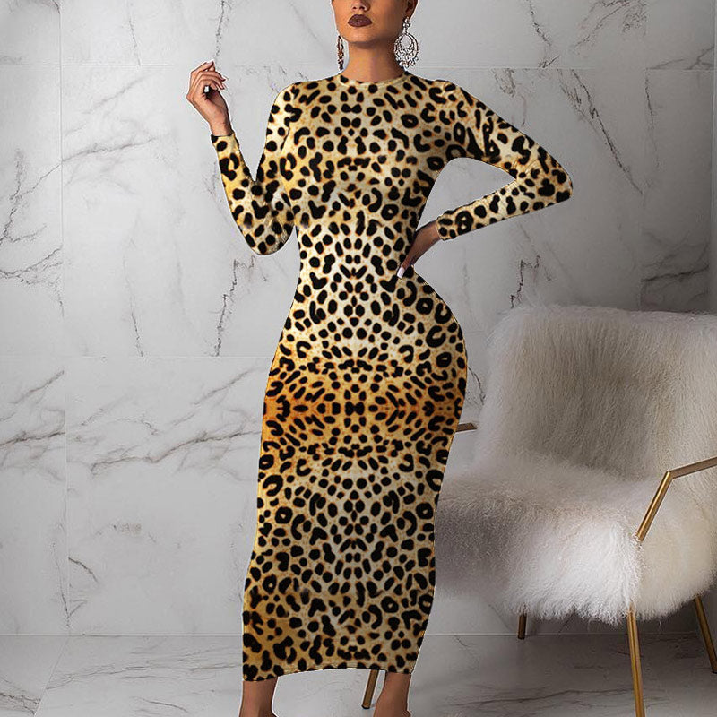 Long Sleeve Leopard Printed Maxi Dress